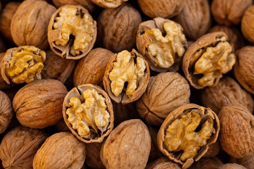 dry fruit producing states in India