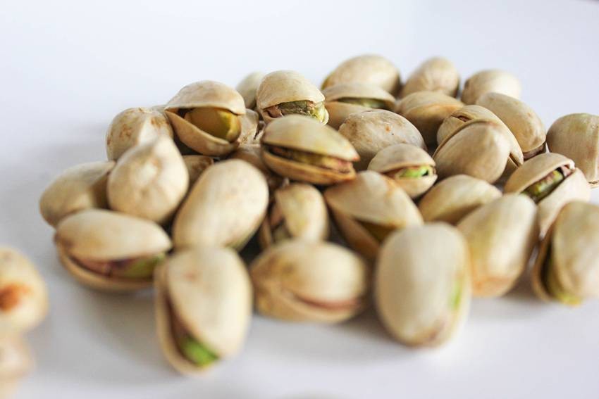 walnut farming in India