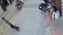 पिटबुल ने किया 6 महीने के बच्चे पर अटैक, गंभीर हालत में अस्पताल में भर्ती; VIDEO VIRAL