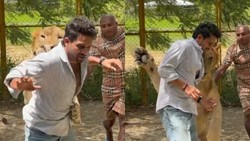 कन्नड़ एक्टर पर शेर ने किया ‘हमला’, खुद बताया वायरल वीडियो का सच