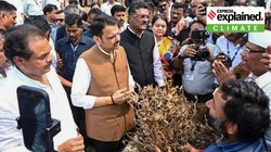 महाराष्ट्र में सूखे जैसी स्थिति, खेती प्रभावित, लेकिन अब तक क्यों नहीं घोषित हुआ सूखा? EXPLAINED