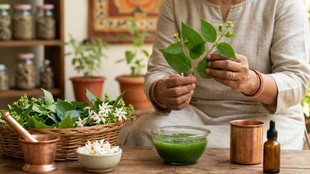 night jasmine, night jasmine benefits, night jasmine in hindi, Harsingar, night jasmine in hindi, harsingar flower, harsingar scientific name, harsingar benefits in hindi, harsingar plant leaf benefits,