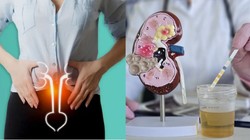 पेशाब के टेस्ट से हो सकती है Bladder कैंसर की पहचान? जानें रिसर्च और शोधकर्ताओं की राय