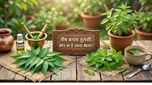 Tulsi vs Neem, Tulsi Tea Benefits, Neem Tea Benefits, Tulsi Leaves Benefits, Neem Leaves Benefits, Tulsi Tea, Neem Kadha, Tulsi Neem Benefits, Tulsi Tea Recipe, Neem Tea Recipe