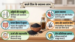 black sesame seeds benefits: क्यों खास है काला तिल? गर्म तासीर के इन सीड्स को गर्मी में कैसे खाएं, एक्सपर्ट से जानिए फायदे