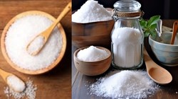 थायरॉइड में कौन-सा नमक है बेस्ट? Iodized या सेंधा? जानिए डॉक्टर की सही सलाह!