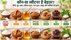 चीनी, गुड़, शहद या Stevia… मीठे में क्या चुनें? एक्सपर्ट से जानें कौन सा स्वीटनर ज्यादा है बेहतर