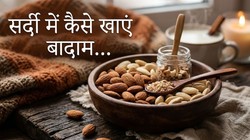 Winter Diet: सर्दियों की शुरुआत में कैसे खाएं बादाम? बॉडी में एनर्जी और गर्माहट के लिए कितने खाना है जरूरी, एक्सपर्ट ने बताएं 5 फायदे