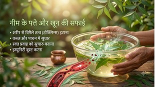 Ayurvedic Herbs for Blood Purification, खून साफ करने का नेचुरल तरीका, How to Detox Body Naturally Ayurvedic Tips, Ayurvedic Doctor Remedies for Blood Toxins, टॉक्सिन दूर करने के आयुर्वेदिक उपाय,