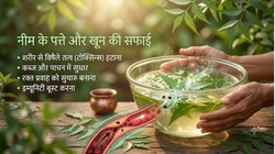खराब डाइट बॉडी में बढ़ा सकती है टॉक्सिन, उबालकर पिएं ये कड़वे पत्ते, आयुर्वेदिक डॉक्टर ने बताया खून साफ करने का नेचुरल तरीका