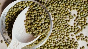 Madhya Pradesh moong scam, moong procurement fraud, Raisen moong scam, MSP procurement fraud