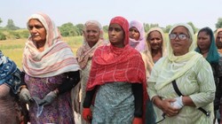 कल्याणकारी योजनाओं से लेकर नशा-मुक्ति के मुद्दे तक, पंजाब की महिलाएं चुपचाप राज्य की राजनीति को दे रहीं नया आकार
