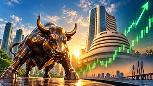 share market
