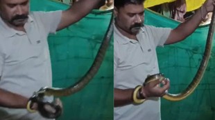 Snake, Snake bite, Biaora, Rajgarh, Snake Bite, Snake Catcher