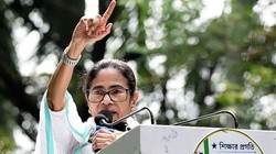 किसका होगा TMC का ‘जोड़ा फूल’?, दो गुट आमने-सामने, EC ने ममता से मांगा अंतिम जवाब