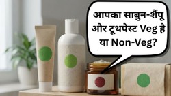 साबुन, शैंपू और टूथपेस्ट पर अब दिखेंगे वेज-नॉनवेज लेबल, जानें इसका क्या मतलब है