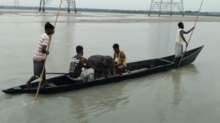 Bengal baby elephant rescued, Teesta river elephant calf, West Bengal elephant rescue
