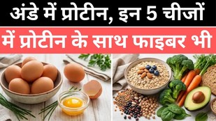 Egg protein | protein and fibre foods | protein aur fiber ke liye kya khaye