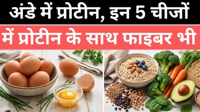 अंडे में 6 ग्राम प्रोटीन, फाइबर जीरो! ये 5 चीजें देंगी दोनों का फायदा