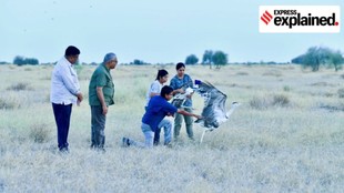 Great indian bustard- Rajsthan- Desert National park