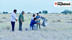 घास के मैदानों में ग्रेट इंडियन बस्टर्ड को फिर से बसाने की पहलः क्या है परियोजना और इसकी चुनौतियां? EXPLAINED