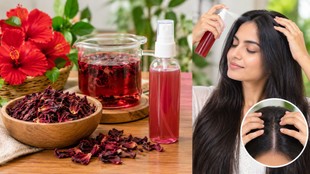 DIY Hibiscus Hair Toner Recipe | how to use gudhal flower for hair | Hibiscus Hair Toner