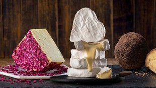 Indian Cheeses Gulmarg Konark and Yeoor