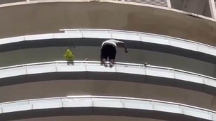 Man Suicide, Delhi News, Delhi NCR, Supernova,