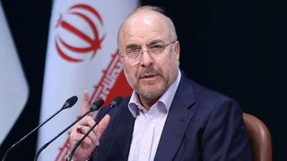 Mohammad-Baqer Qalibaf, BRICS Speakers Forum New Delhi