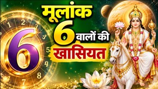 Mulank 6 Personality,Mulank 6: अंक शास्त्र अनुसार मूलांक 6 पर शुक्र ग्रह का आधिपत्य है venus planet