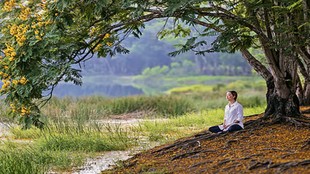 ज्ञान की जिज्ञासा, Knowledge and Curiosity, मैं नहीं जानता, भारतीय दर्शन