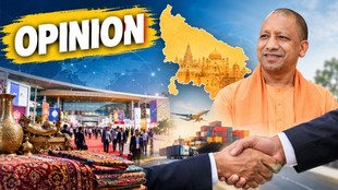 Yogi OPINION