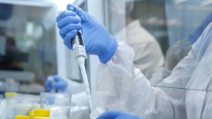Russia Plague, Siberia Plague, Irkutsk News, Plague Lab Worker