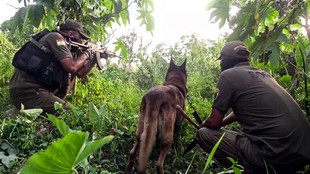 Jammu Kashmir, poonch, AK-47, Terrorist Hideout,