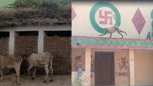 Chhattisgarh langur menace, Bemetara monkey problem, Devgaon village langurs