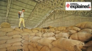 Grain storage- Punjab- Crisis