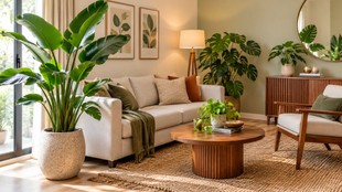how to decorate big leaf houseplants | big leaf houseplants | big leaf indoor plants
