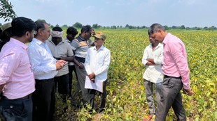 maharashtra | drought | farmers in tension |