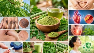 Moringa Benefits, Moringa Powder Benefits, Drumstick Benefits, Sahjan Benefits, Sahjan Ke Fayde, Moringa For Digestion, Moringa For Cholesterol, Moringa For Weight Loss,