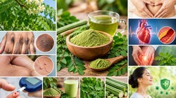 Drumstick Leaves Benefits: सेहत के लिए वरदान हैं सहजन की पत्तियां, आयुर्वेदिक डॉक्टर से जानिए सूप और काढ़ा पीने के फायदे और तरीका