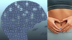 क्या आंतों के बैक्टीरिया बढ़ा सकते हैं अल्जाइमर का खतरा? नई रिसर्च से जानिए क्या है गट बैक्टीरिया और ब्रेन का कनेक्शन