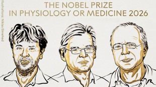 Nobel Prize in Medicine 2026, Nobel Prize Medicine, Karl Deisseroth, Peter Hegemann, Georg Nagel, Optogenetics, Optogenetics research, brain research, neuroscience, neurons, Parkinson’s disease