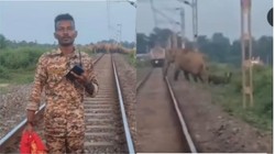 पटरी पर आ गया हाथियों का झुंड, सामने से आ रही थी ट्रेन; गार्ड ने लाल कपड़ा दिखाकर जो किया, देखें VIDEO