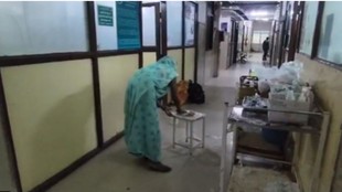 Damoh Hospital Viral Video, MP Hospital Viral Video, Damoh Civil Hospital News,दमोह अस्पताल वायरल वीडियो, दमोह सिविल अस्पताल मामला