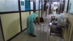 बीमार बच्चे का अस्पताल में चल रहा था इलाज, मां के हाथ में थमा दिया पोंछा! ममता या मजबूरी… दमोह के VIDEO ने झकझोरा