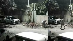 सड़क पर कूड़ा फेंककर निकल रहा था शख्स, ऊपर से आई आवाज- ‘उठाओ भाई!’, फिर जो हुआ VIDEO में देखें