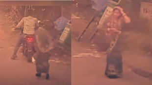 gwalior zoo cctv viral