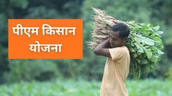 PM Kisan 24th Installment Date: गुड न्यूज, दीवाली से पहले खाते में आएंगे 2000 रुपये; सरकार ने बताई दी तारीख