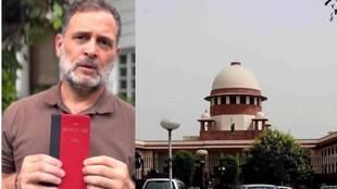 rahul gandhi march to SC, India bloc, supreme court, rahul gandhi, delhi chalo march