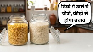 rice and pulses storage tips and tricks | daal mein kide lag jaaye to kya karen,
